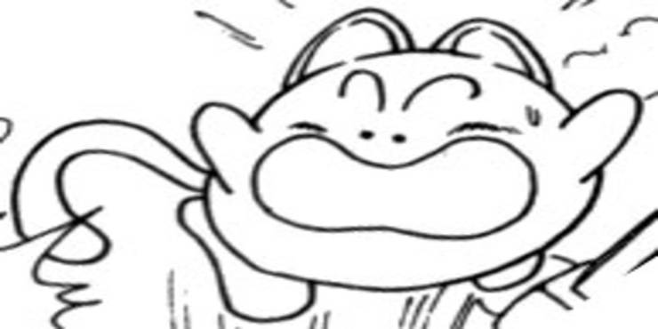 Dragon Ball 10 Things You Didn’t Know About Oolong Dragon Ball 10 Things You Didn’t Know About Oolong